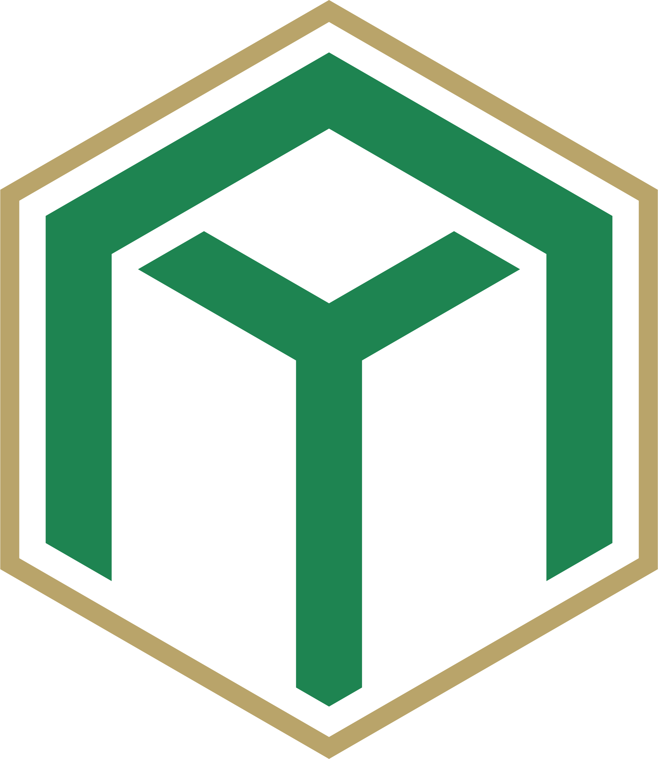 Project Logo